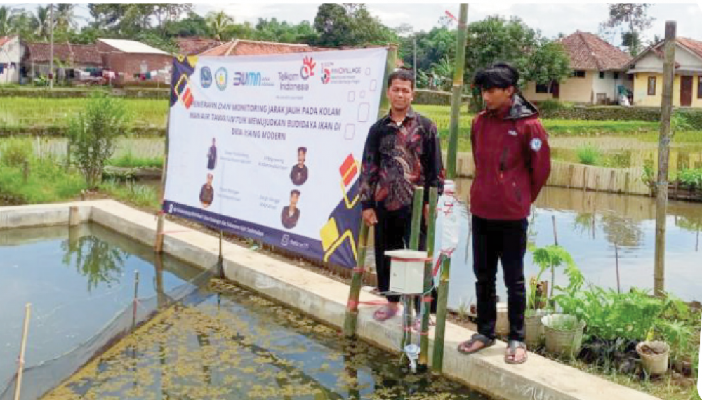 Portfolio thumb